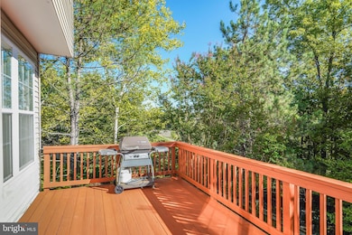 21556 Iredell Terrace, Broadlands, VA 20148 - photo 5