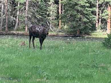 400 Towering Pines, Big Sky, MT 59716 - photo 6