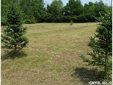 Land Nice pine trees on lot