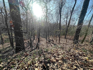 268-00601-000 Altakima Cir, Cherokee Village, AR 72529 - photo 5