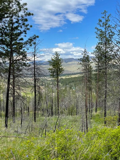 960X Knox Rd, Riverside, WA 98849 - photo 4