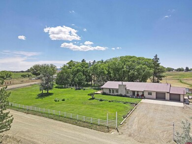 11781 Road 24.4, Cortez, CO 81321 - photo 3