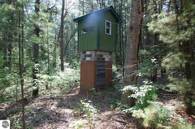 VL Rifle River Trail, West Branch, MI 48661 - photo 5