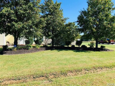 Mature Landscaping