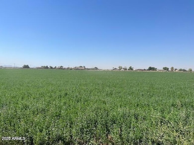 20250204192707249257000000-o