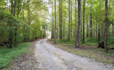 None Maner Rd, Rockmart, GA 30153 - photo 3