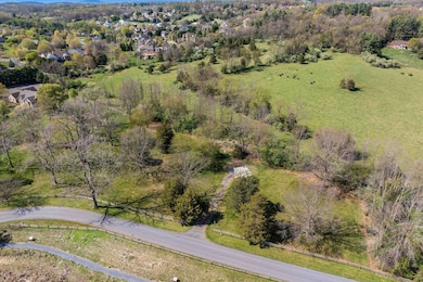 00 Massanetta Springs Rd, Massanetta Springs, VA 22801 - photo 6