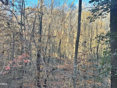 1715 Fire Department Rd, Clayton, NC 27527 - photo 2