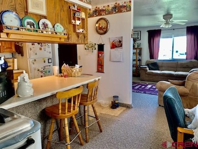 E Arbecam Ave, Cortez, CO 81321 - photo 7