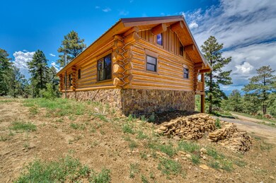 33651 Mountain View unit 79, Trinidad, CO 81082 - photo 5