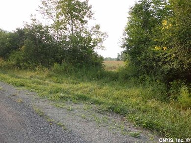 Land. Could be a drive way at the end of property 
