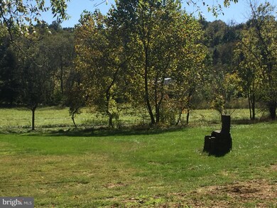 294 Tumbling Run Ln, Strasburg, VA 22657 - photo 3