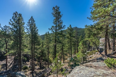 13012 Echo Valley Ct, Keystone, SD 57751 - photo 7