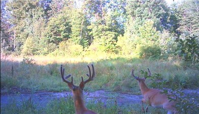 0 37th St, Gobles, MI 49055 - photo 3