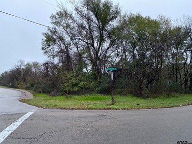 3250 Old Noonday Rd, Tyler, TX 75701 - photo 2