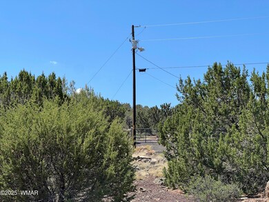 5 County Rd unit 8095, Concho, AZ 85924 - photo 3