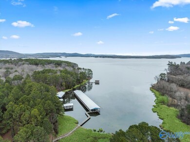 710 John Cabaniss Rd, Langston, AL 35755 - photo 4