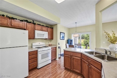 8581 Dunham Dr, Olmsted Falls, OH 44138 - photo 3