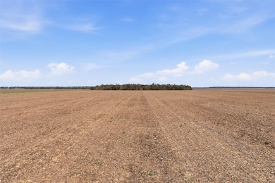 TBD County Road 264, Cameron, TX 76520 - photo 3
