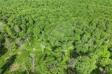 Lot 75 Restore Ridge, Harrison, AR 72601 - photo 5