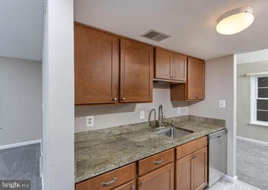 9174 Lambskin Ln, Columbia, MD 21045 - photo 6