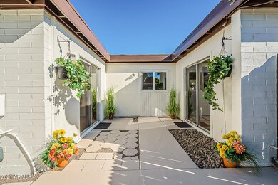 Back patio