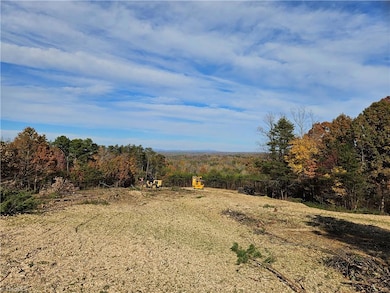 00 Whitaker Chapel Rd unit 10, Pilot Mountain, NC 27041 - photo 7