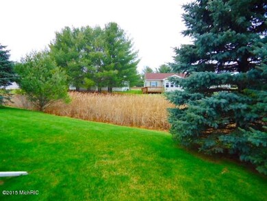 Rear yard view