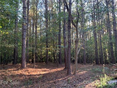 00 Snuggs Rd, Center, NC 28128 - photo 6