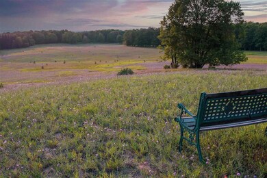 2673 Whitmarsh Rd, Vanderbilt, MI 49795 - photo 7