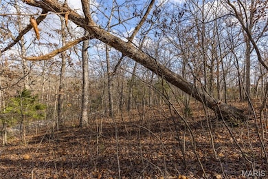 6110 Shenandoah Dr, Raintree Plantation, MO 63050 - photo 2