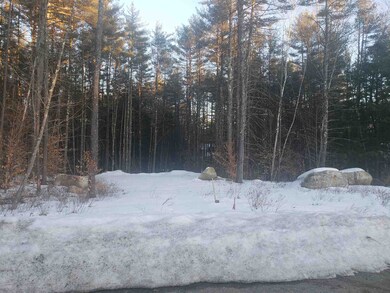 40 Poliquin Dr unit 40, Conway, NH 03818 - photo 3