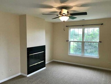 315 Buckingham Cir unit D, Elgin, IL 60120 - photo 6