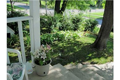 Yard/Garden.