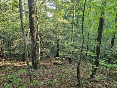 0 Bates Dr unit 418359, Ellijay, GA 30540 - photo 3