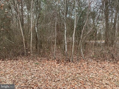 Lot C3 S Mount Laurel Dr unit C3, Dagsboro, DE 19939 - photo 2