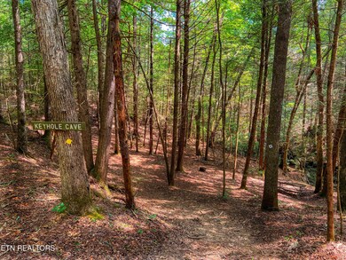 DJI_20240909_121059_716