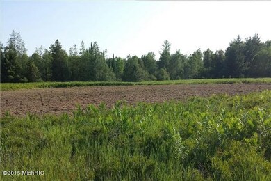 5 Food Plot-WR