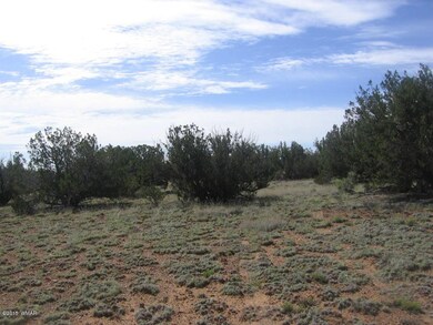Itasca 5 Acres 005 - Copy
