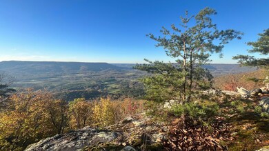 0 Tatum Gulf Rd unit 1524943, Menlo, GA 30731 - photo 5