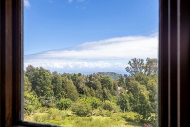 180 Makana Rd, Makawao, HI 96768 - photo 6