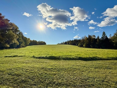 51 Reardon Ln, Calais, ME 04619 - photo 3