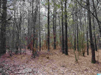 0 Wallace St unit 1, Sylacauga, AL 35151 - photo 4