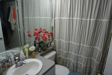 18 E Springfield St unit 1, Boston, MA 02118 - photo 6