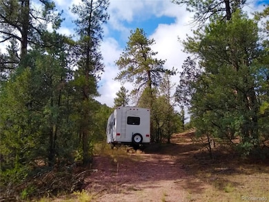 000 Gold Pan Trail, Cotopaxi, CO 81223 - photo 5