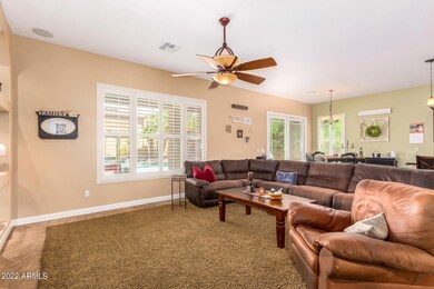 Plantation Shutters Throughout