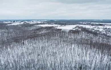 DJI_0234