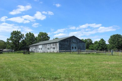 IMG_7345