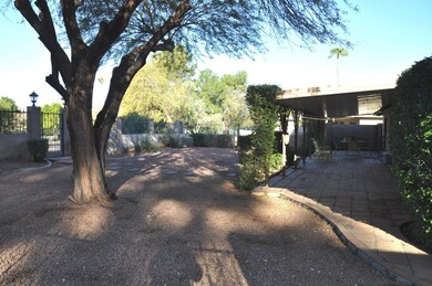 BACKYARD + PATIO