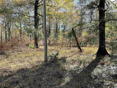View of nature